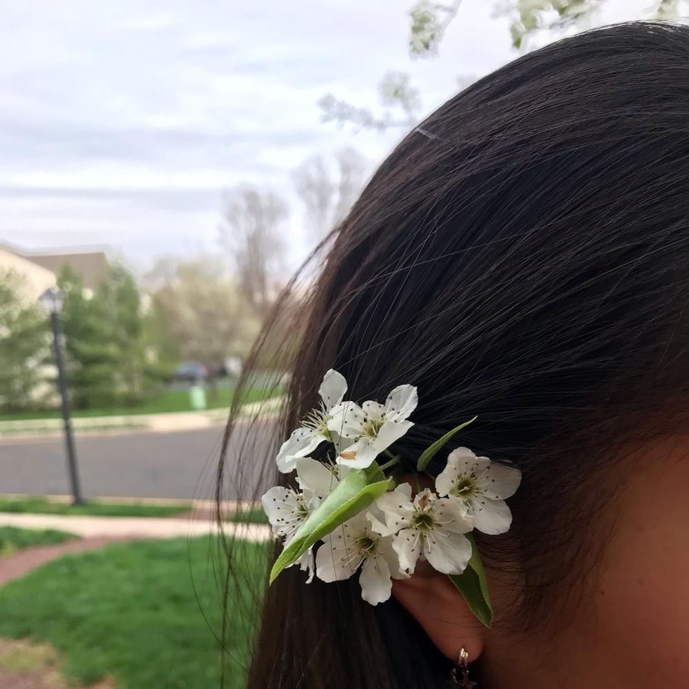 Meet your Posher, Disha